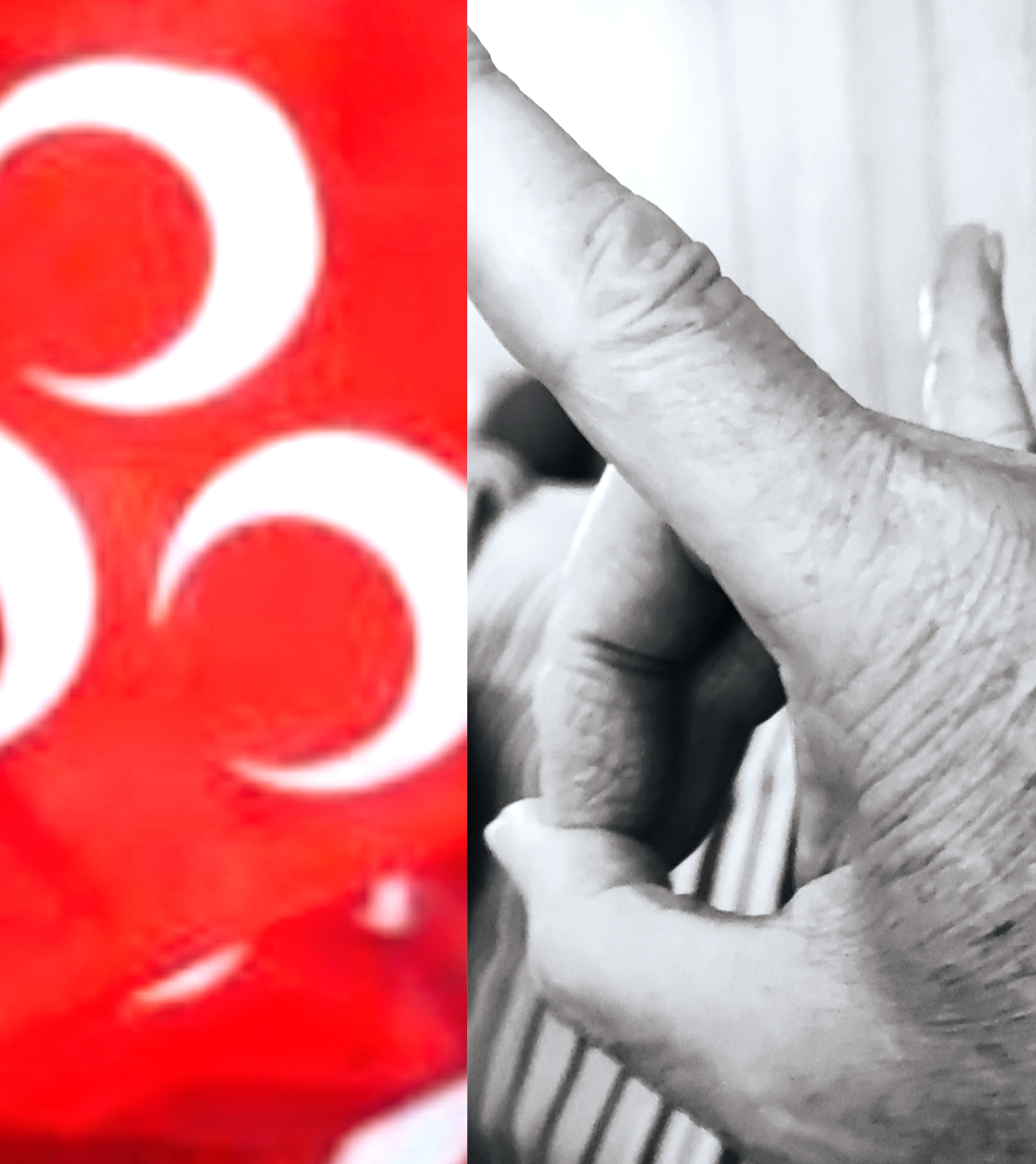 Deutschland diskutiert erneut Verbot der „Grauen Wölfe“ nach rassistischen Gewaltexzessen in Belgien