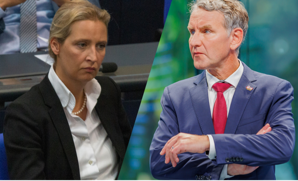 Die AfD und ihr Netzwerk